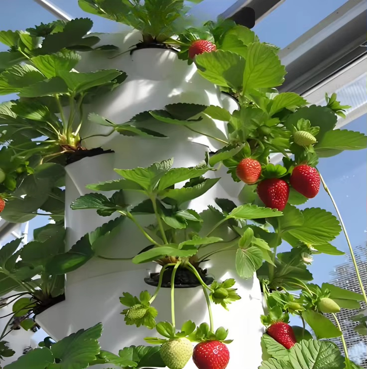 ระบบปลูกพืชแบบไฮโดรโปนิกส์แบบโ - Urban Farming Wall บทวิจารณ์และราคา